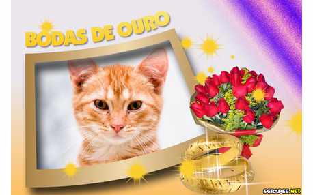 Moldura - Moldura Para Bodas De Ouro