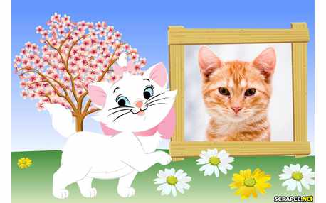 Moldura - Marie   Desenho Aristogatas