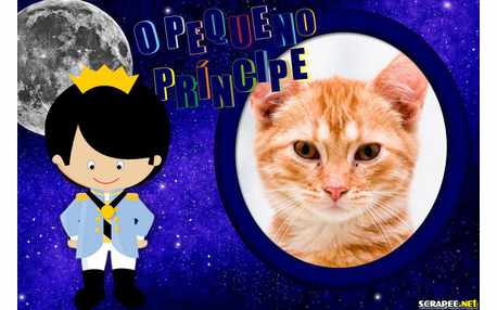 Moldura - Pequeno Principe