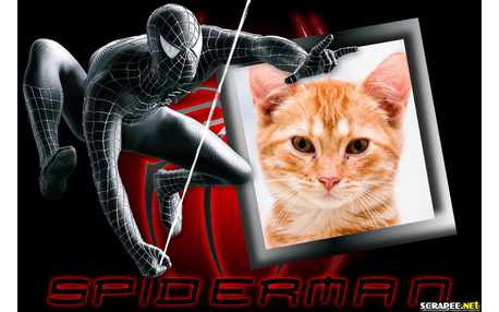 Moldura - Spider Man