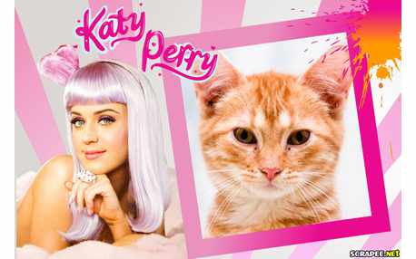Moldura - Katy Perry