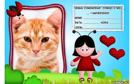 Moldura - Convite De Joaninha