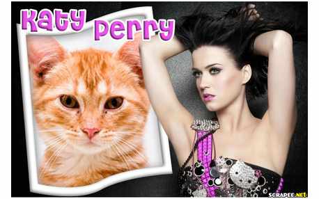 Moldura - Cantora Katy Parry