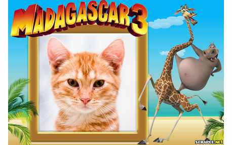 Moldura - Madagascar 3