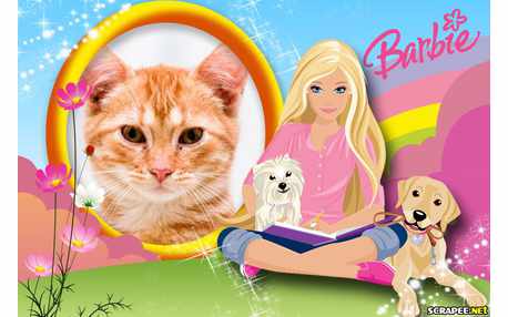 Moldura - Montagem Da Barbie   Moldura Barbie Adulta