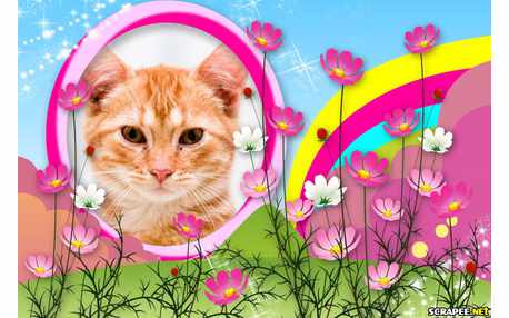 Moldura - Jardim Colorido