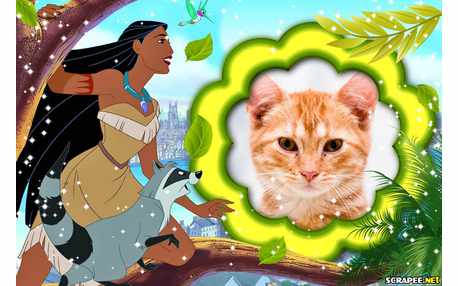 Moldura - Pocahontas