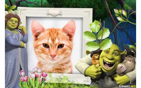 Moldura - Turma Do Shurek 4