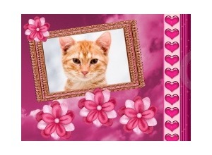 Moldura - Purple Frame And Flowers