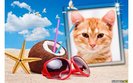 Moldura - Praia   Descancando