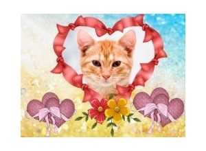 Moldura - Five Hearts