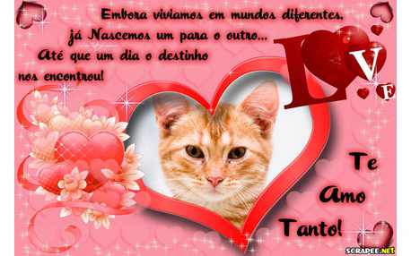 Moldura - Unidos Pelo Destino