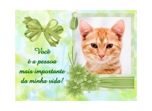 Moldura - You Are Vip