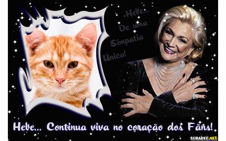 Moldura - Hebe Camargo