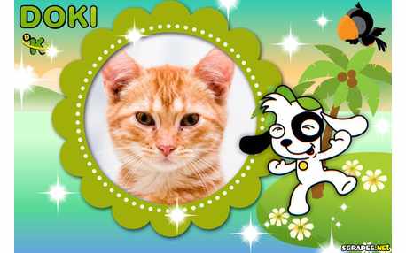Moldura - Doki Da Discovery Kids