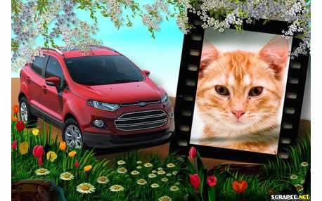 Moldura - Nova Ford Ecosporte 2013