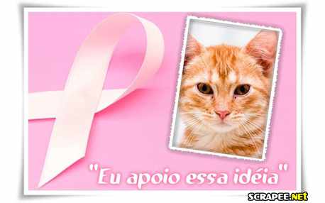 Moldura - Prevencao Ao Cancer De Mama