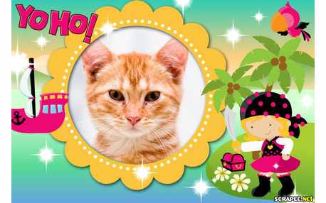 Moldura - Piratinha Yaho