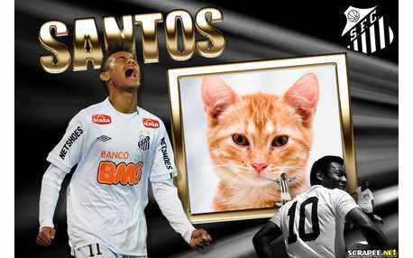 Moldura - Santos Neymar