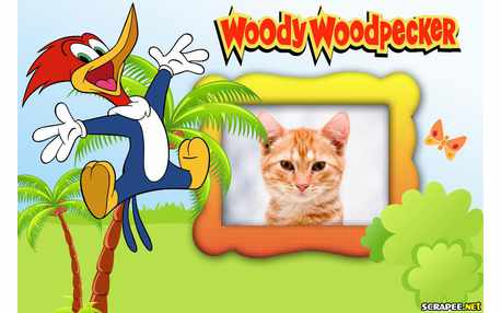 Moldura - Woody Woodpecker