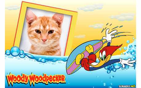 Moldura - Pica Pau Surfando