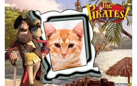Moldura - Piratas Pirados Filme