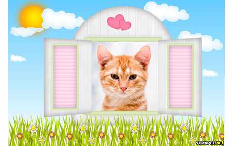 Moldura - Janela De Frente Ao Campo