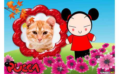 Moldura - Moldura Da Pucca