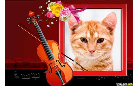 Moldura - Violino   Moldura Romantica