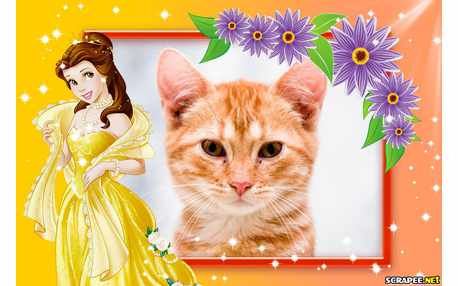 Moldura - Princesa Bela Da Disney