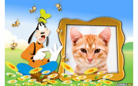 Moldura - Pateta No Jardim