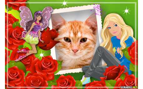 Moldura - Barbie Jovem E Barbie Fadinha