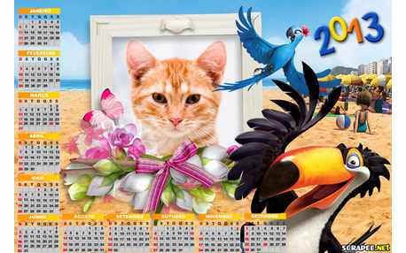 Moldura - Calendario Filme Rio 2013