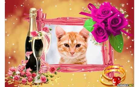 Moldura - Noivado E Casamento