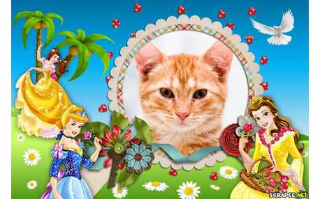 Moldura - Princesas Disney