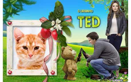 Moldura - Ursinho Ted
