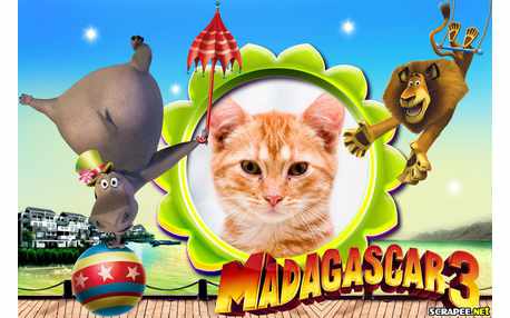 Moldura - Madagascar 3