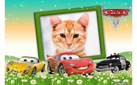 Moldura - Filme Carros