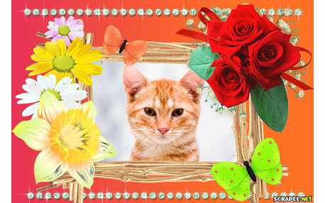 Moldura - Flores Lindas