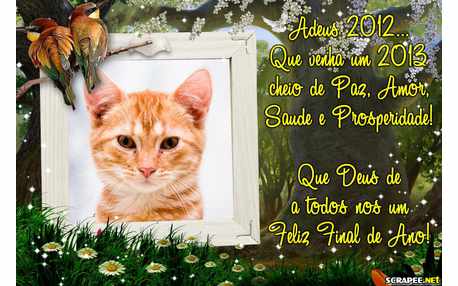 Moldura - Feliz Fim De Ano