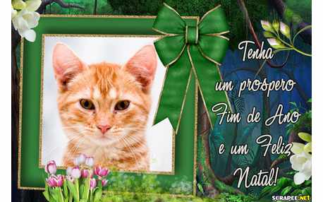 Moldura - Natal E Fim De Ano