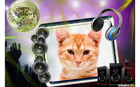 Moldura - Balada   Festa