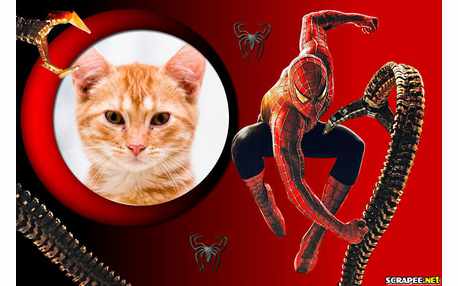 Moldura - Homem Aranha