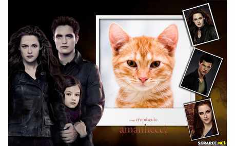 Moldura - Sega Crepusculo Amanhecer