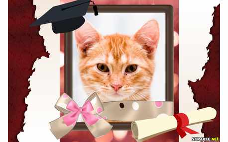 Moldura - Moldura De Formatura