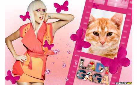 Moldura - Lady Gaga