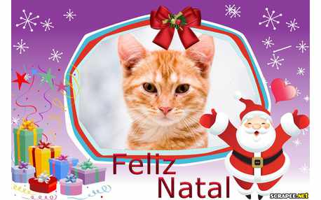 Moldura - Feliz Natal