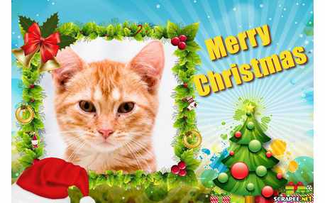 Moldura - Merry Christmas