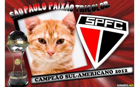 Moldura - Sao Paulo Campeao Sul Americano 2012