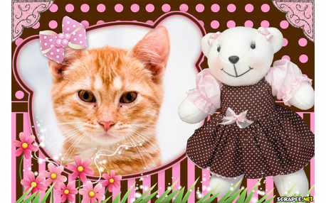 Moldura - Ursa Marron E Rosa